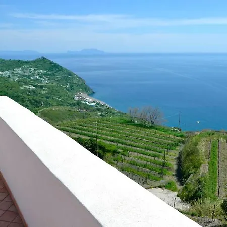 Domus Jesca Ischia Apartamento