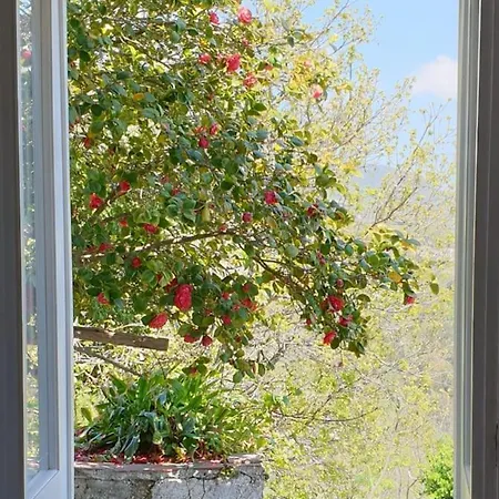 Apartamento Domus Jesca Ischia *